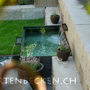 Gartenbecken 038